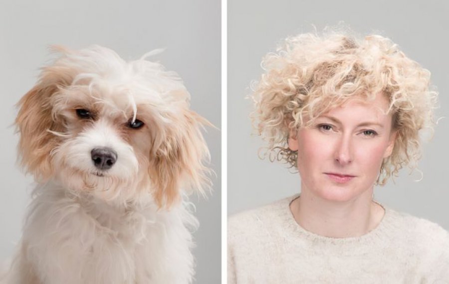 Një fotograf krahasoi portretet e kafshëve shtëpiake dhe pronarëve të tyre dhe rezultatet janë mahnitëse