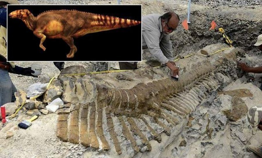 Argjentinë/ Zbulohen fosile të dinozaurit që ka jetuar afërsisht 70 milion vite me parë