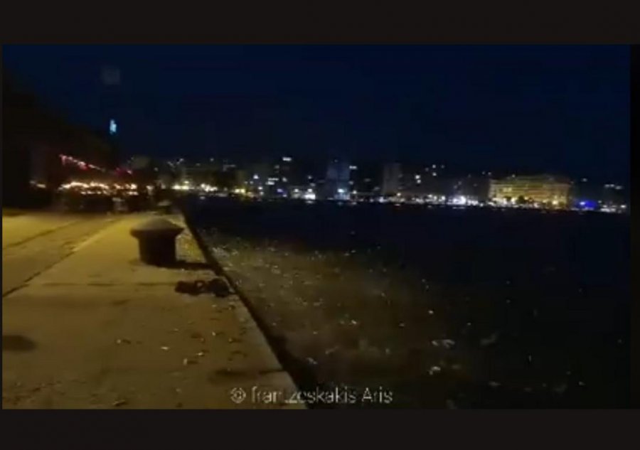 VIDEO/ Fenomeni i çuditshëm, në Selanik peshqit hidhen nga deti në ... tokë