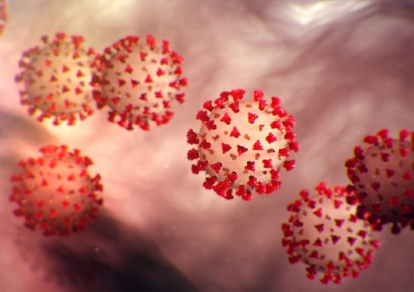 Rreth 600 të vdekur nga coronavirusi në vend që nga fillimi i pandemisë