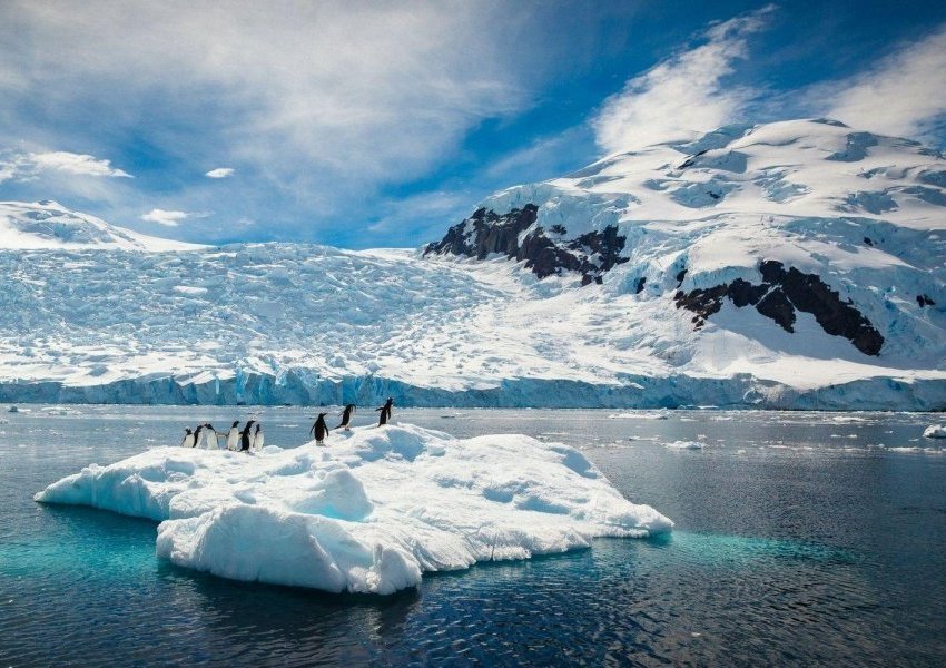 Antarktidë, shkencëtarët zbulojnë gjallesa të jashtëzakonshme të pa para kurrë më parë