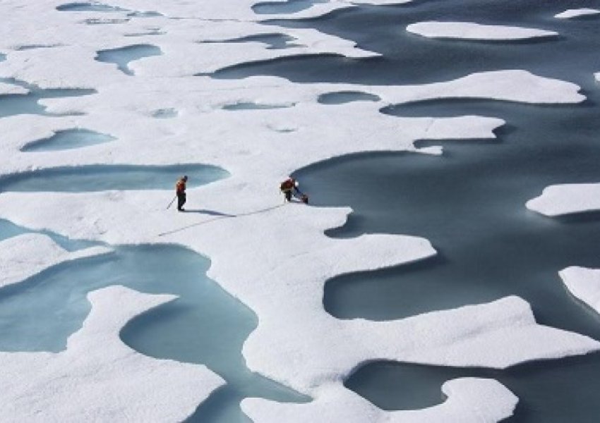 Ngrohja globale, ndikim në Arktik