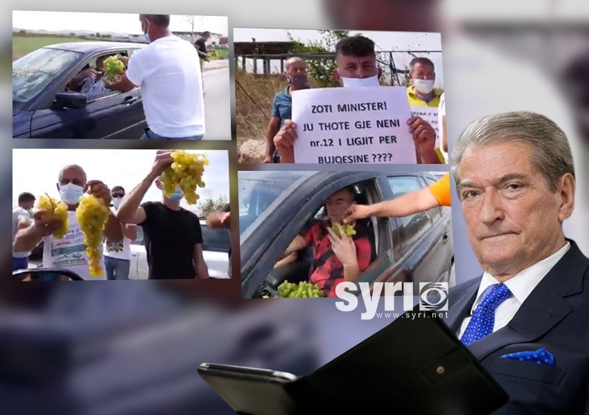 VIDEO/ Protestë origjinale kundër narkoqeverisë, Fermerët ua falin rrushin e pashitur drejtuesve të automjeteve