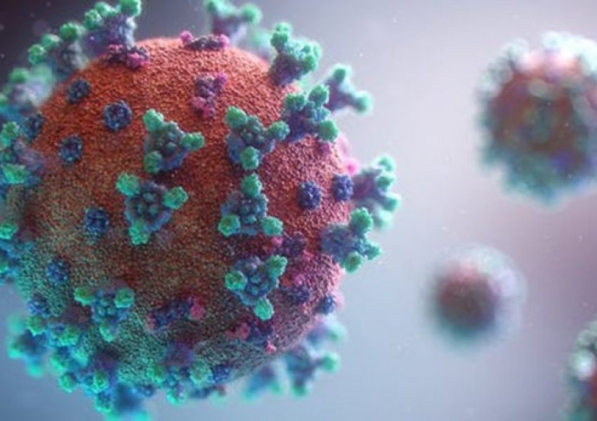 Ky shtet regjistron rekord të vdekjeve nga koronavirus brenda një dite