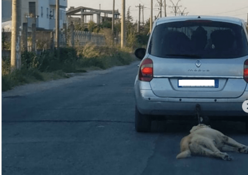 Torturoi qenin duke e lidhur pas makinës, reagojnë disa nga VIP-at shqiptarë