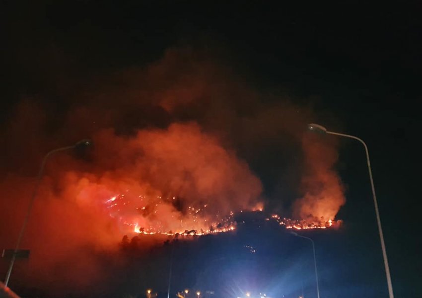 FOTO/ Pamjet e tmerrshme të zjarrit në malin e Taraboshit