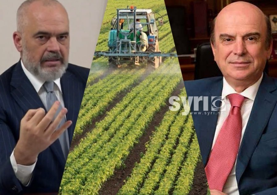 Kosova, 12 milionë euro për bujqësinë gjatë pandemisë, Shqipëria asnjë qindarkë 