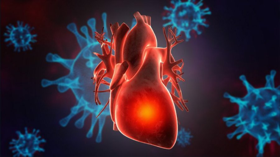 ‘3 në 4 viktimat nga COVID-19, kanë virusin në zemrat e tyre’/ Ja çfarë tregon studimi i ri