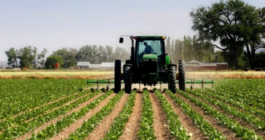 ​Ministria e Bujqësisë i del në krahë prodhuesit bujqësor