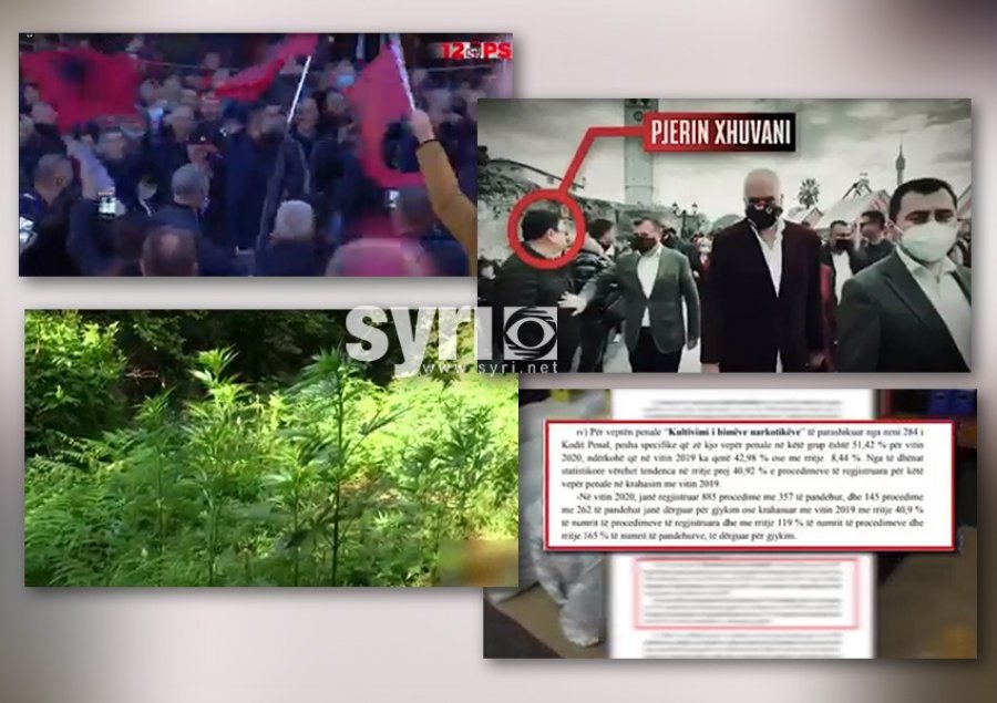 Rikthehen shifrat e frikshme të kanabizimit, rritje me 40 përqind