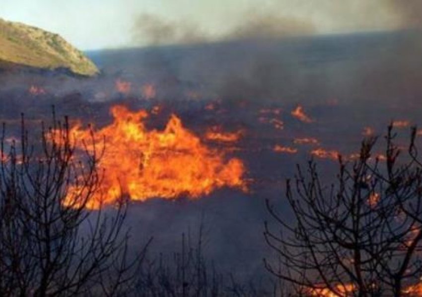 Situata me zjarret, Maqedonia e Veriut shpall gjendjen e krizës në vend për 30 ditë