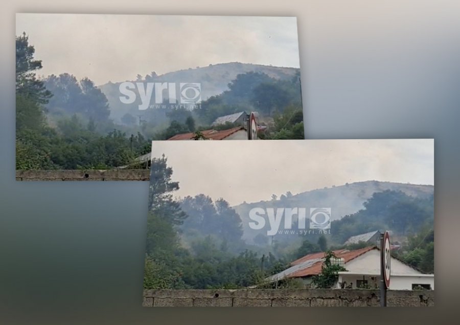 VIDEO/ Zjarr në Malin e Taraboshit në Shkodër