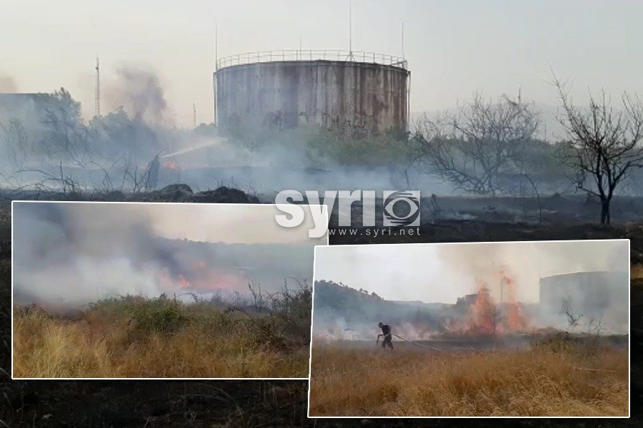 VIDEO/ Dramatike! Të tjera pamje të frikshme nga zjarret në Vlorë