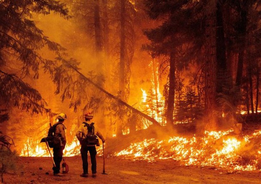 Kaliforni/ Zjarret shkrumbojnë zona të tëra 