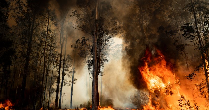 Thatësira, zjarre dhe përmbytje, si do të ndikojnë ndryshimet klimatike në Europë