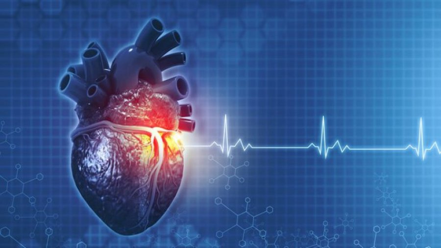 Rrahjet e zemrës: Cilat vlera janë normale dhe kur duhet të shqetësoheni?