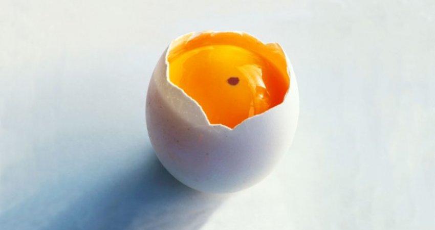 A janë të sigurta për ngrënie vezët me njolla?