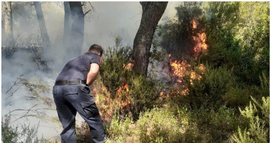 Vazhdon zjarri në pyllin e Gjorgjozit, dëmtohet drurë shekullorë