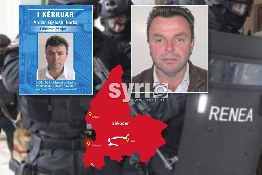 VIDEO - U qëllua nga RENEA/ I plagosuri në Shkodër i fshehur në një stan, policia jep detaje nga operacioni 