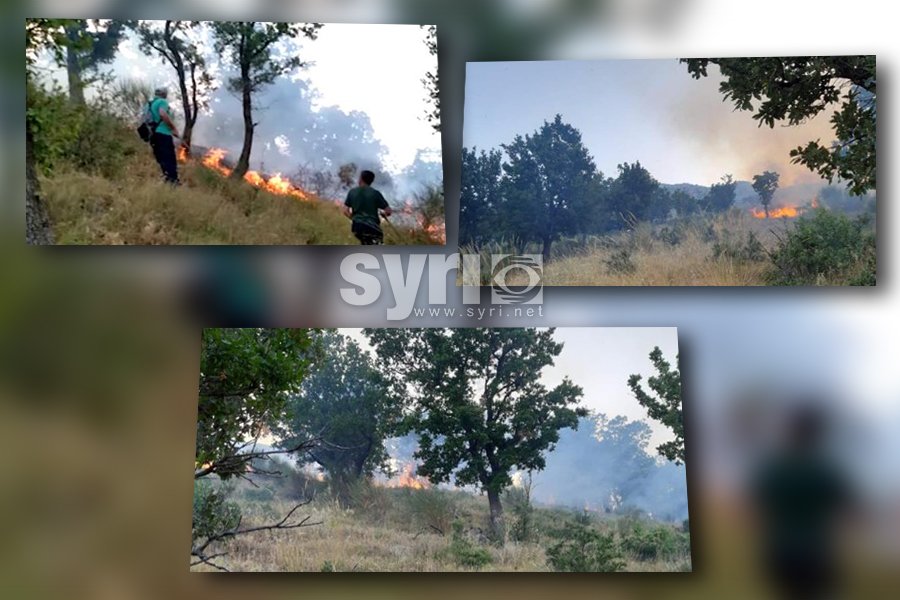 Zjarret po djegin sipërfaqe me kullota e ullinj në Tragjas të Vlorës