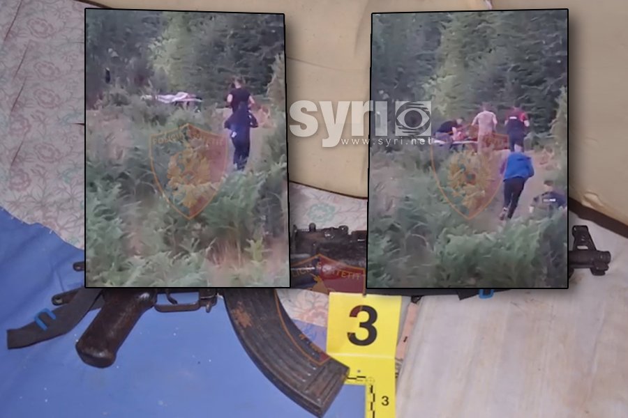 Parcela me kanabis në Shkodër, arrestohen 6 persona, mes tyre dy gra