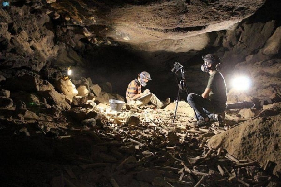 Zbulohet shpella e tmerrit në Arabinë Saudite, mijëra skelete njërëzish dhe kafshësh