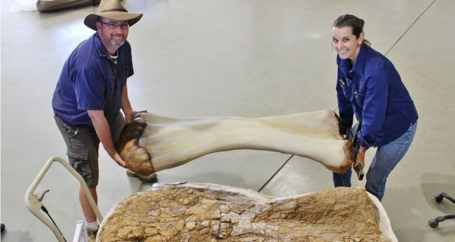 Zbulohet 'Australotitani' një nga dinozaurët më të mëdhenj në botë