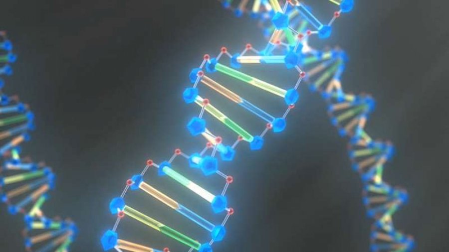 ADN-ja e njeriut plotësohet me 3400 gjene të reja