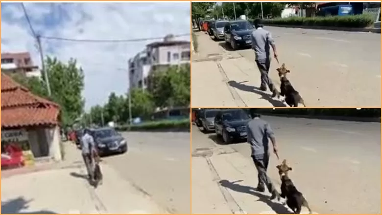 VIDEO/ Pamje të rënda, qytetari tërheq zvarrë qenin në mes të qytetit të Kamzës