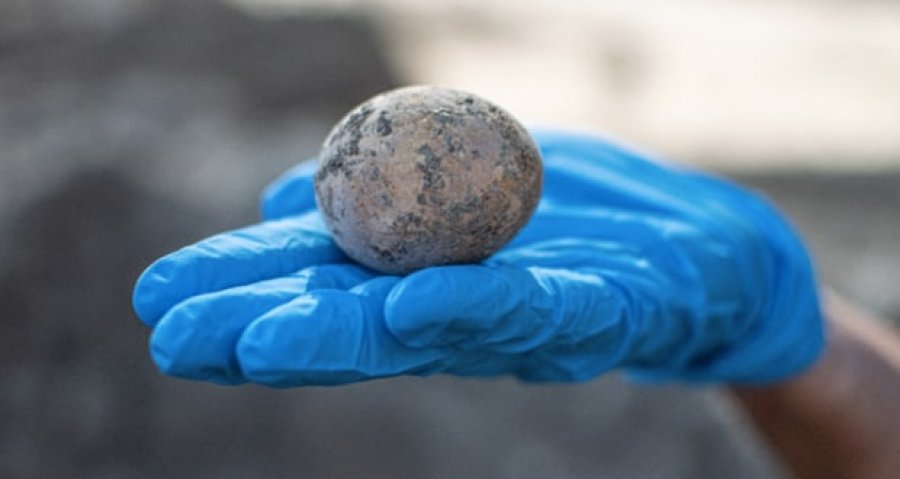 Arkeologët në Izrael bëjnë zbulimin e rrallë, gjejnë vezën e pulës 1000-vjeçare
