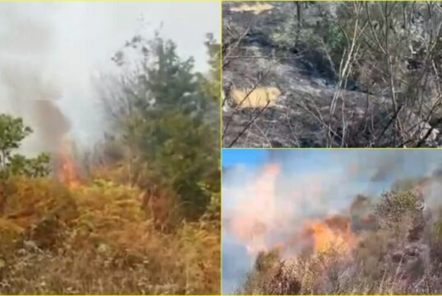 Zjarr në fshatin Borizanë të Krujës/ Banorët përpiqen ta shuajnë me mjete rrethanore