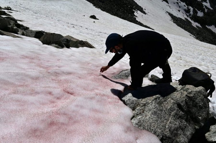 ‘Gjaku i akullnajave’/ Fenomeni i pashpjeguar që ndodh në majat e maleve