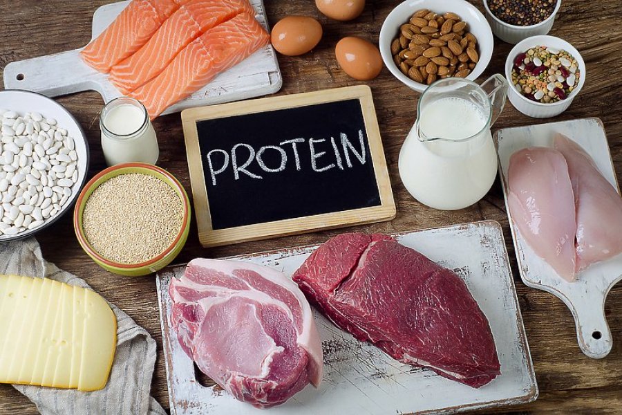 Shtatë ushqime të pasura me proteina të rekomanduara nga dietologët