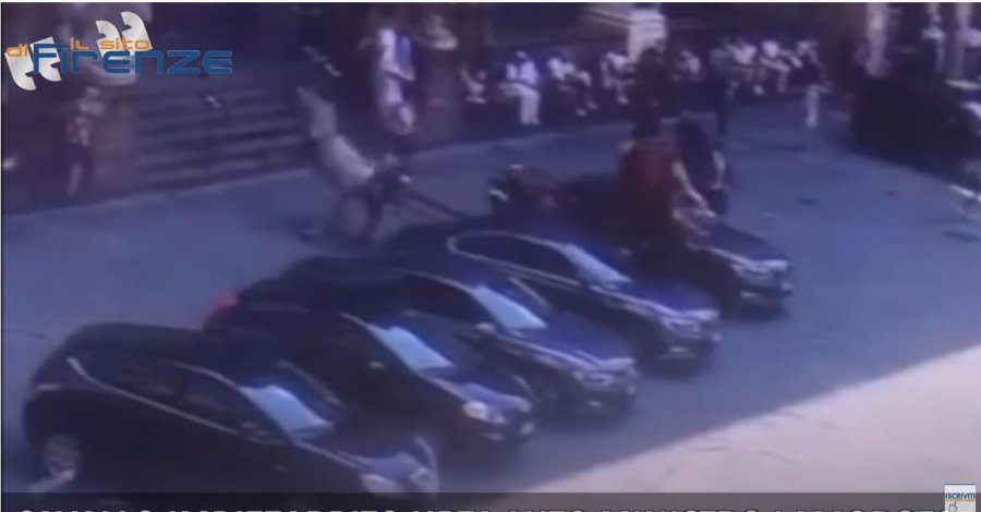 VIDEO/ 'Tërbohet' kali, sulmon makinën e Ministrisë së Brendshme në Itali