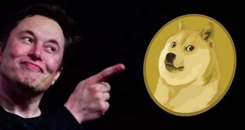 Elon Musk thotë se Dogecoin mund të jetë valutë botërore në të ardhmen