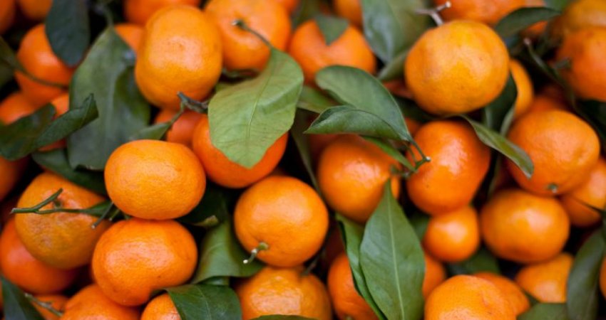 Sa kushton kilogrami i mandarinave në Prishtinë? 