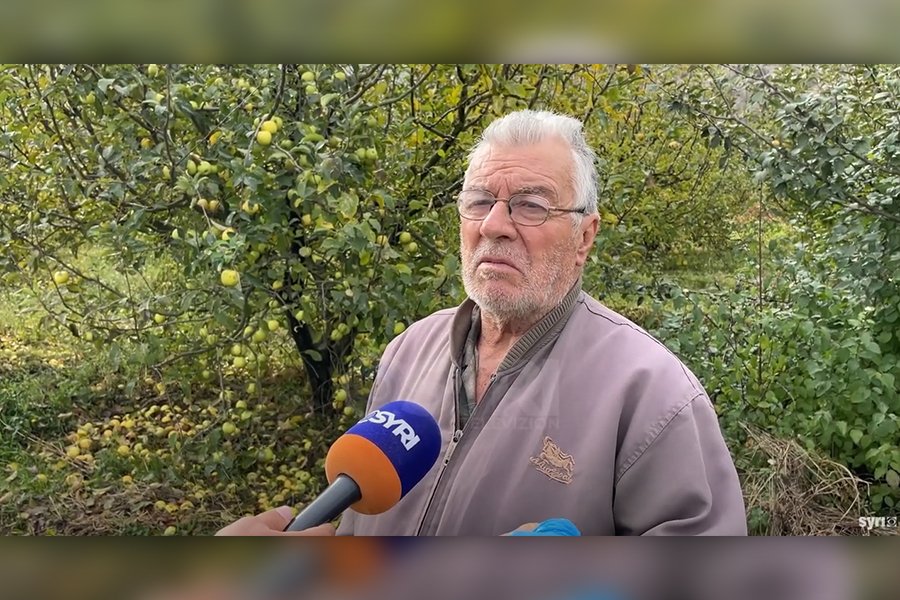 VIDEO- SYRI TV/ Kalben dhjetëra kuintal mollë, fermeri: Shteti s`na jep asnjë ndihmë apo subvencion