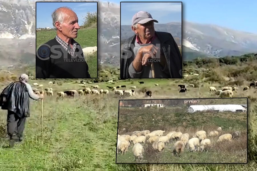 VIDEO-SYRI TV/ Fermerët e Gjirokastrës tallen me ‘Akademinë e çobenjve’