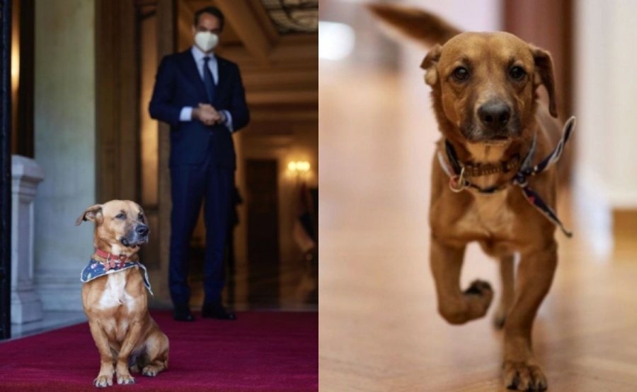 Qeni arrakat i Mitsotakis ndërpret konferencën për shtyp: Integrimi i rajonit në BE...'ham ham ham'!