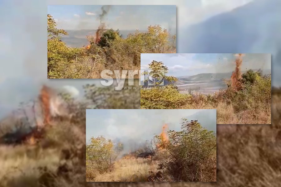VIDEO - Zjarr në fshatin Sevaster/ Rrezikohen edhe banesat