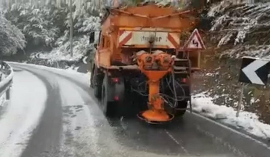 VIDEO/ Nisin punën borëpastrueset në Dardhë të Korçës