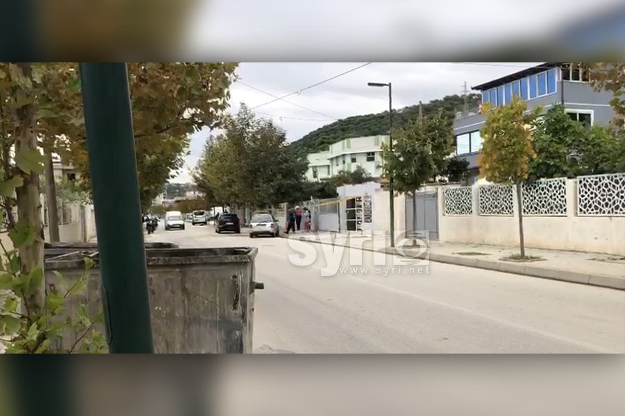 VIDEO/ Në Vlorë, fillimisht u përleshen qentë, pastaj pronarët, 1 i plagosur