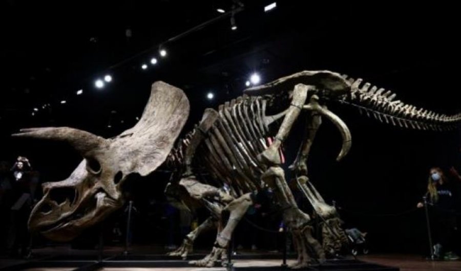 Shitet me çmim marramendës në Paris skeleti i një dinozauri