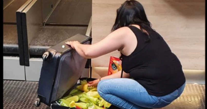 Serbja mbush valixhen me speca, fotografia bëhet virale 