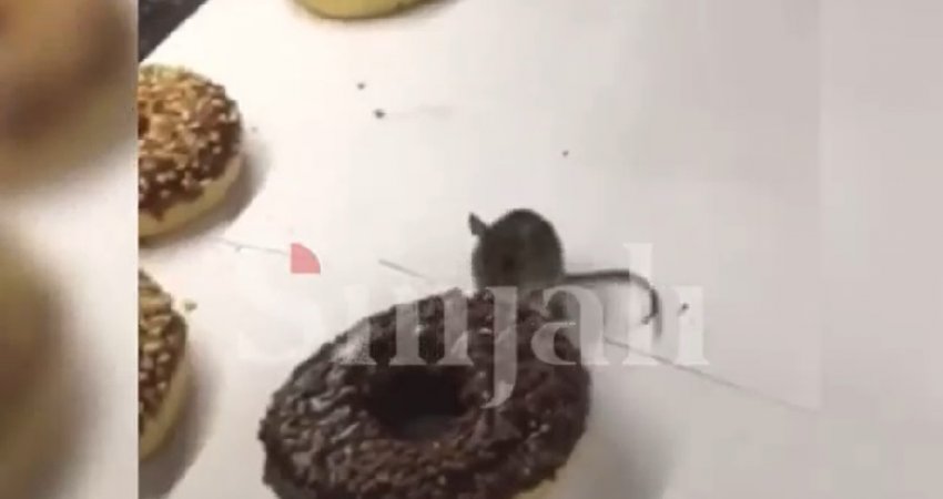Miu futet në Viva Fresh Store në Prishtinë, shihet duke ngrënë petulla
