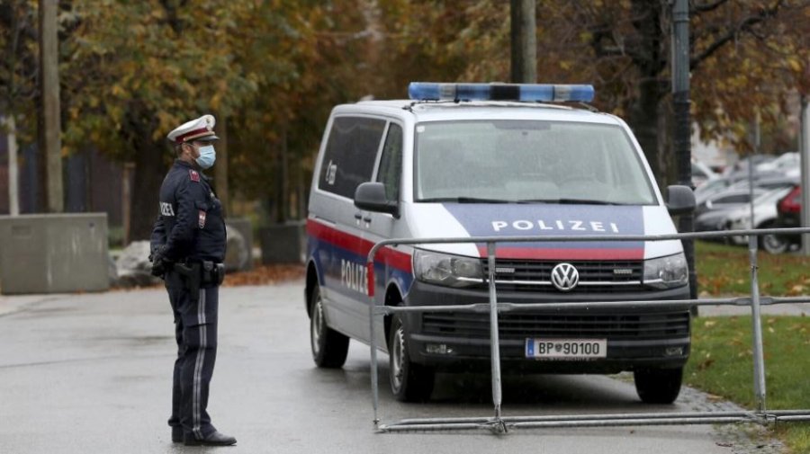 Sulm me thikë në Vjenë/ 35-vjeçari ther kalimtarët, 4 të plagosur