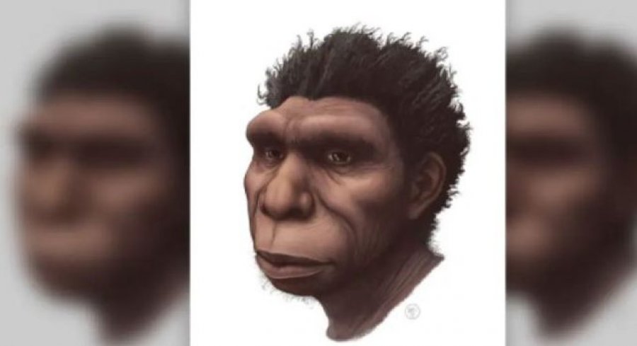 ‘Zbulohet’ një paraardhësi i ri njeriut - Kush ishte Homo bodoensis?