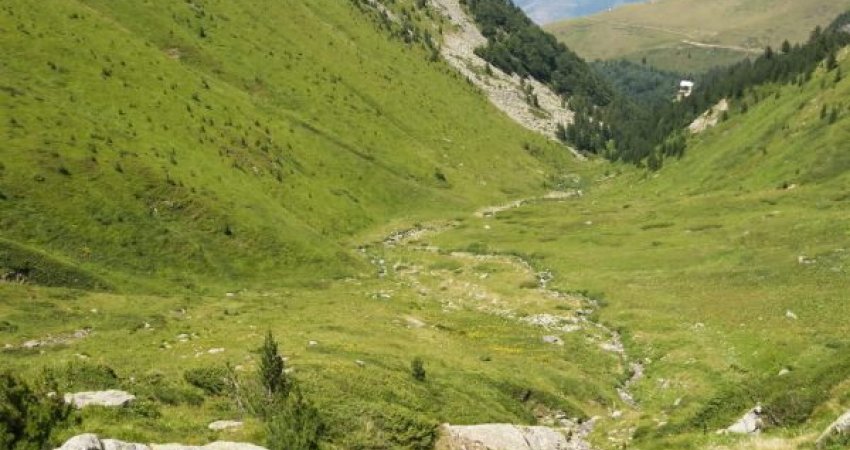 Rasti tragjik në Prevallë: Kjo është gjendja e katër personave të lënduar që u goditën dje nga rrufeja