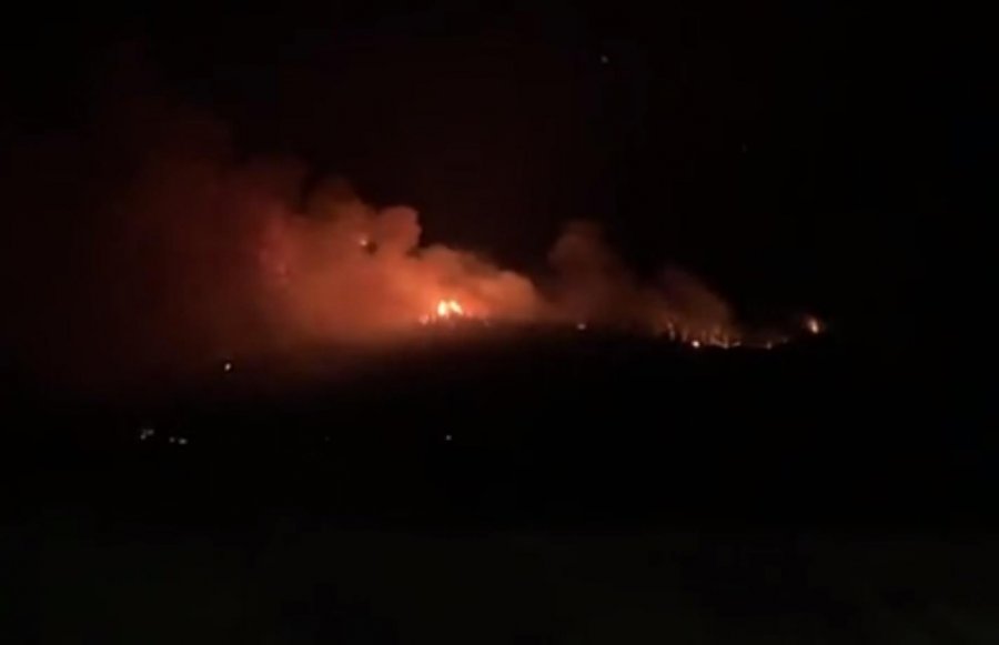 Vihet nën kontroll zjarri në Pllanë të Lezhës, që përfshiu stallën dhe dogji pyllin