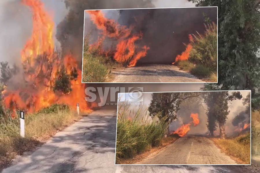 VIDEOLAJM/ Zjarri  në Panaja të Vlorës, makinat kalojnë mes flakëve